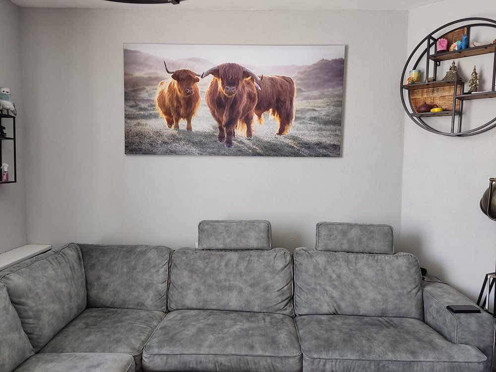 Highlanders écossais par Karel Ton