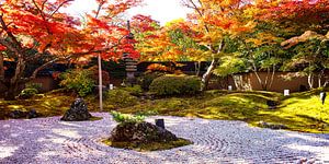 Zen Garten