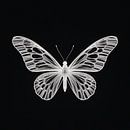 Fragile Wings by Matteo Bellini thumbnail