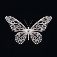 Fragile Wings