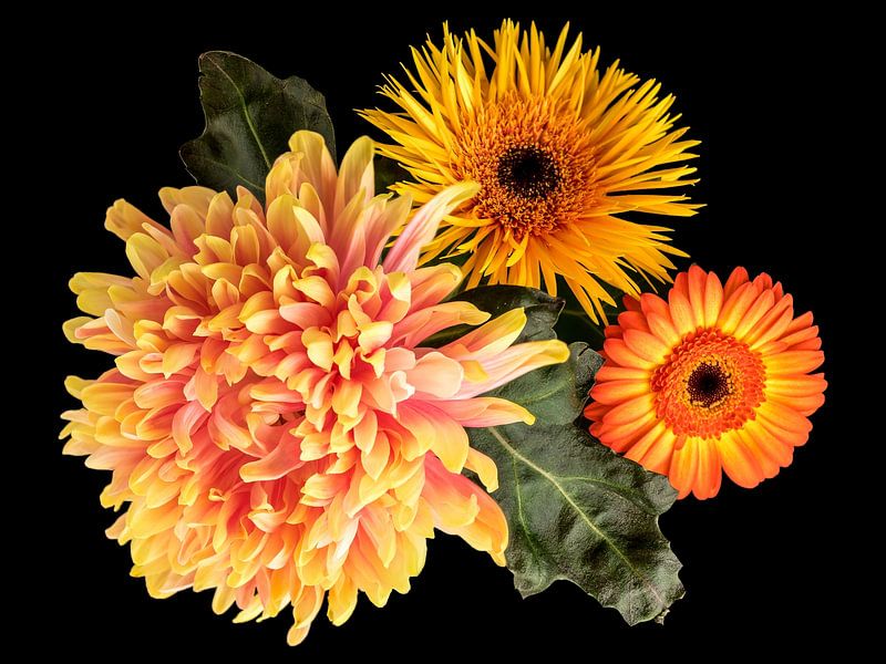 Flower still life by René Weijers