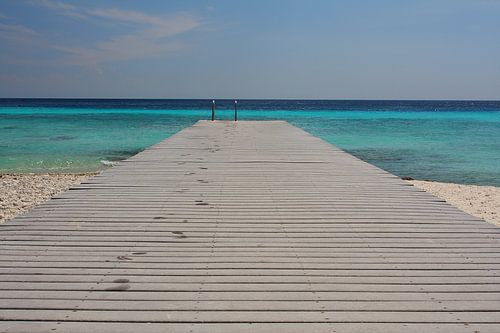The long run by Gerwin Altena