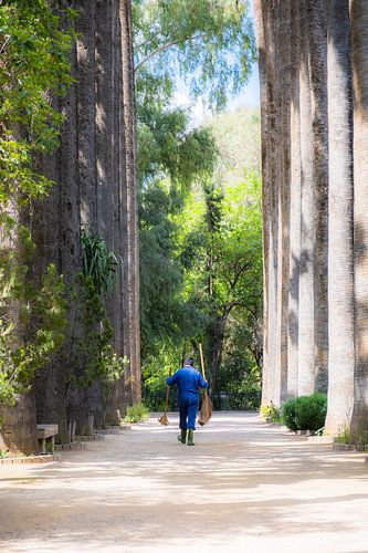 Gardener in botanical garden