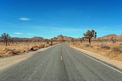 Weg door Joshua Tree Nationaal Park