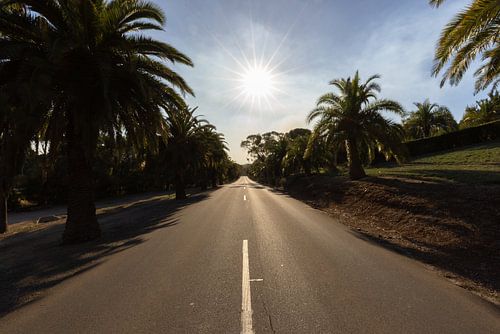 Zonsondergang in de Barossa Valley, South Australia