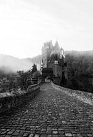 Château dans le brouillard (noir et blanc)
