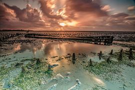 Wrack im Wattenmeer bei Wierum.