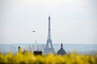 La Tour Eiffel par Kramers Photo Aperçu