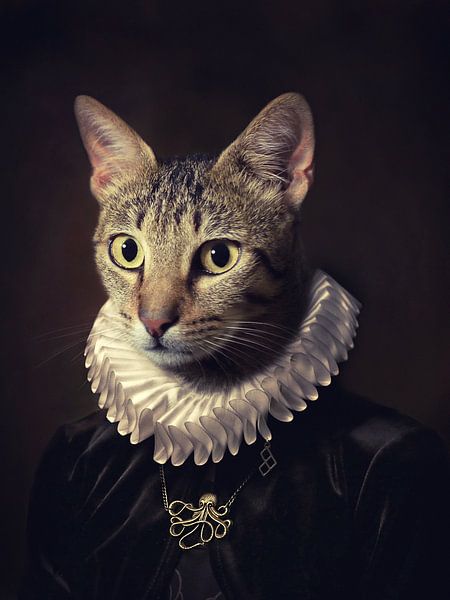 Sir Kiko by Paulo Dias
