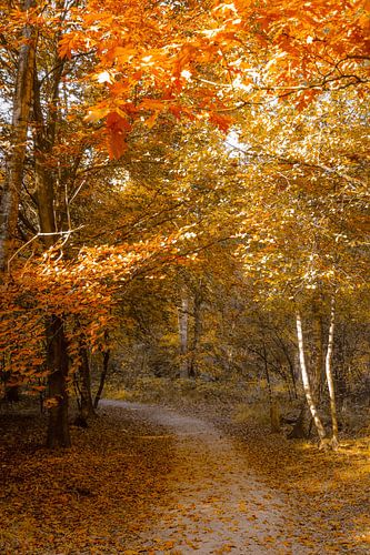 Wandeling in een levend schilderij