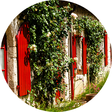 Gevel stenen huis met rode luiken en groen in Fougères sur Bièvre Loire Frankrijk