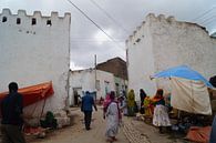 De poorten van Harar van Colette Vester thumbnail