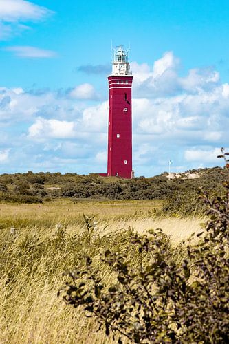 Vuurtoren Ouddorp in Zeeland vanuit de duinen