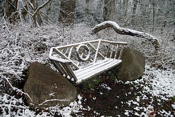 verschneite Bank auf dem Landgut Sandwijck in De Bilt von wil spijker