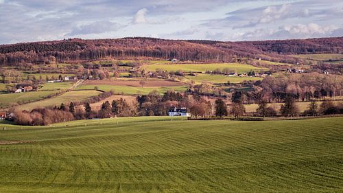 Epen mit Vijlenerbos
