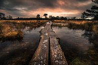 Le sentier de randonnée Buurserzand par Martijn van Steenbergen Aperçu