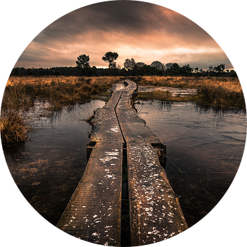 Het Buurserzand wandelpad van Martijn van Steenbergen