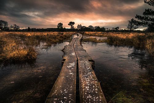 Het Buurserzand wandelpad