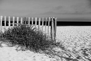 Zaun am Meer