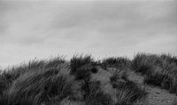 Duinen