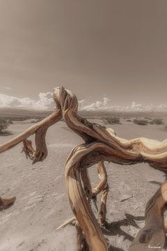 Artwork DeadValley by www.Focus040.nl