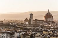 Blick auf die Altstadt von Florenz von Shanti Hesse Miniaturansicht