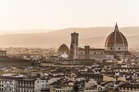 Blick auf die Altstadt von Florenz