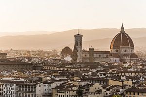 Vue de la vieille ville de Florence sur Shanti Hesse