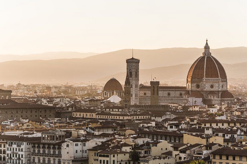 Vue de la vieille ville de Florence par Shanti Hesse