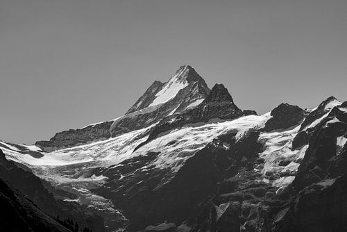 De Schreckhorn in de volle zon