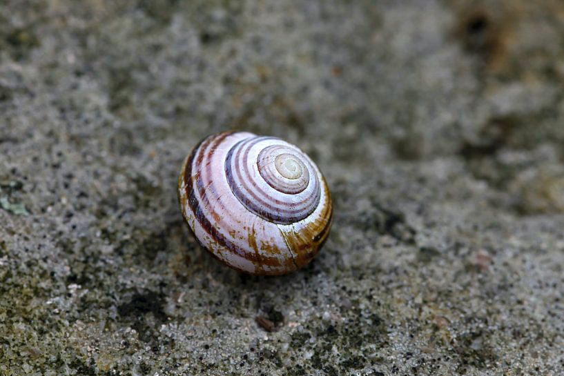 Logement des vers par Thomas Jäger