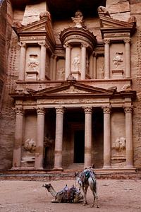 Kamele in Petra, Jordanien von Marvin de Kievit