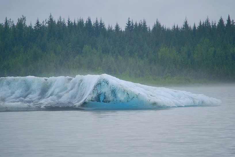 A huge chunk floating around by Frank's Awesome Travels