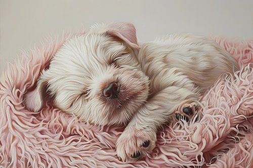 honden in en rondom het huis