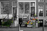 Spring has begun in Amsterdam by Peter Bartelings thumbnail