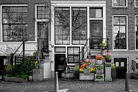 De lente is begonnen in Amsterdam