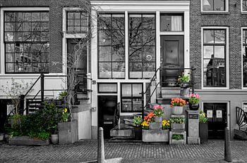 Der Frühling hat in Amsterdam begonnen