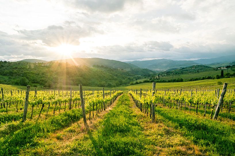 Prachtige landschapsfoto van een wijngaard in Toscane van Natascha Teubl