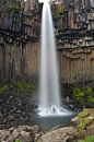 Svartifoss; een bijzondere waterval op IJsland van Wilco Berga thumbnail