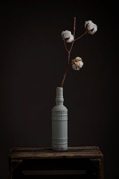 vase with cotton plant