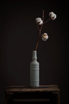 vase with cotton plant by Raoul van Meel