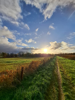 Horizon dans la nature