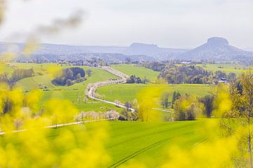 Lilienstein by Sylvio Dittrich