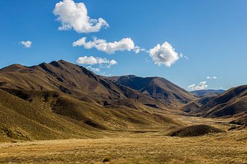 Golden Hills van Cho Tang