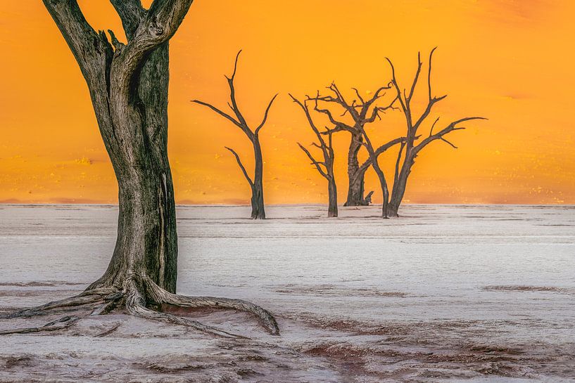 Deadvlei von Peter Poppe