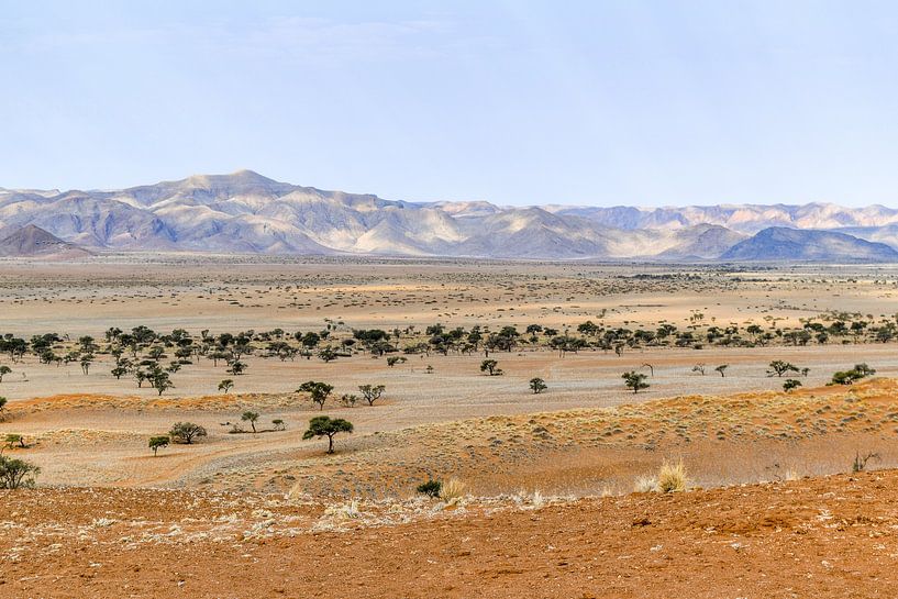 Savannah in Namibia by Achim Prill