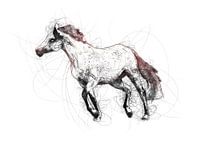 Groot paard balpen krabbel illustratie