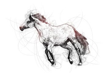 Great Horse Ballpoint Pen Doodle Illustration by Markus Gann