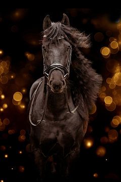 Fries paard met hoofdstel en Bokeh bollen op de achtergrond van Cynthia Verbruggen