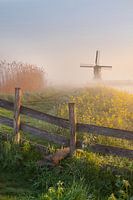 Sunrise with morningfog at the windmill